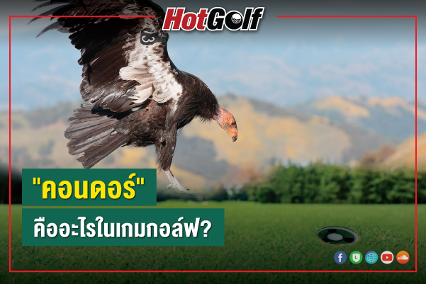 “คอนดอร์” คืออะไรในเกมกอล์ฟ?