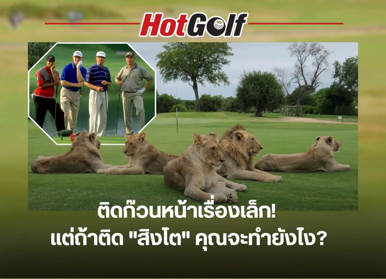 สนามกอล์ฟสำหรับคนรักสัตว์ป่า!